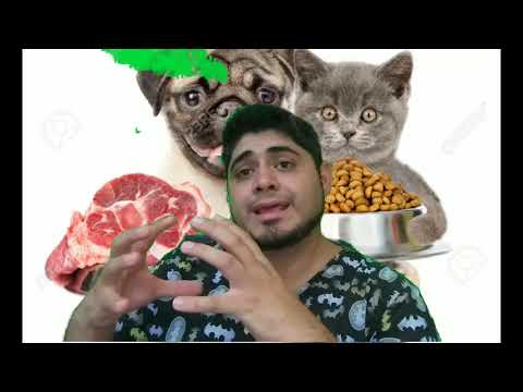 Video: Agregar frutas y verduras a la dieta de su mascota