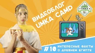 Блог UMKA Camp #10 Интересные факты о Египте, о которых вы скорее всего не знали.