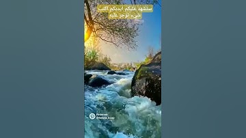 جزء من خواتم سوره الحشر بصوت القارئ الشيخ فارس عباد ♥️♥️♥️ #اكسبلور #يوتيوب