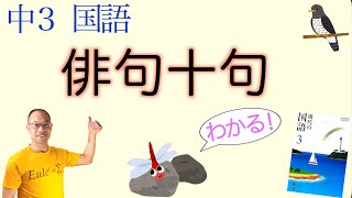 【2022年度新教科書版】俳句十句【中３国語】教科書の解説〈さえずりを〉〈菜の花が〉〈こだまして〉〈万緑の〉〈芋の露〉〈星空へ〉〈いくたびも〉〈小春日や〉〈分け入つても〉〈入れものが無い〉