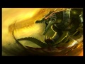 Theme to play Renekton