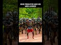 King Predator #movieclips #shortactionfilm