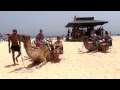 The Camel Trip - Fuerteventura 2012