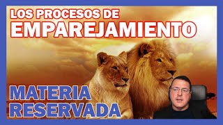 LOS PROCESOS DE EMPAREJAMIENTO ➡️ MATERIA RESERVADA - Dr. Iñaki Piñuel