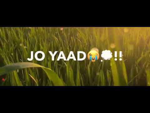 royi-na-je-yaad-meri-aayi-ve-whatsapp-status-😭💔💔