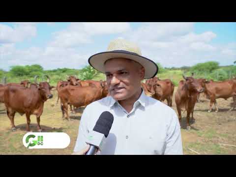 PESQUISA TÉCNICAS DE CAPTAÇÃO E ARMAZENAGEM DE ÁGUA NO NORDESTE