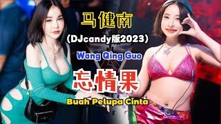 马健南 - 忘情果 (Djcandy版2023) Wang Qing Guo【Buah Pelupa Cinta】- Lyrics Pinyin Terjemahan Indonesian