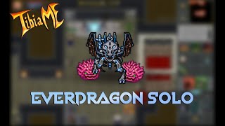 Tibiame - Everdragon Solo