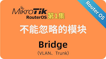 Router os中不能忽略的模块-bridge 第1集 VLAN、Trunk掰开揉碎讲解｜ No.105