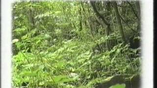 eh16 - The Craigmillar Riots of 1994