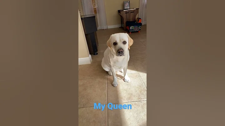 My Queen Clover  Shes a special girl