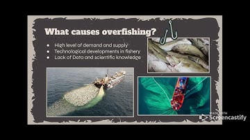 Unit 3 GEO Overfishing - Google Slides