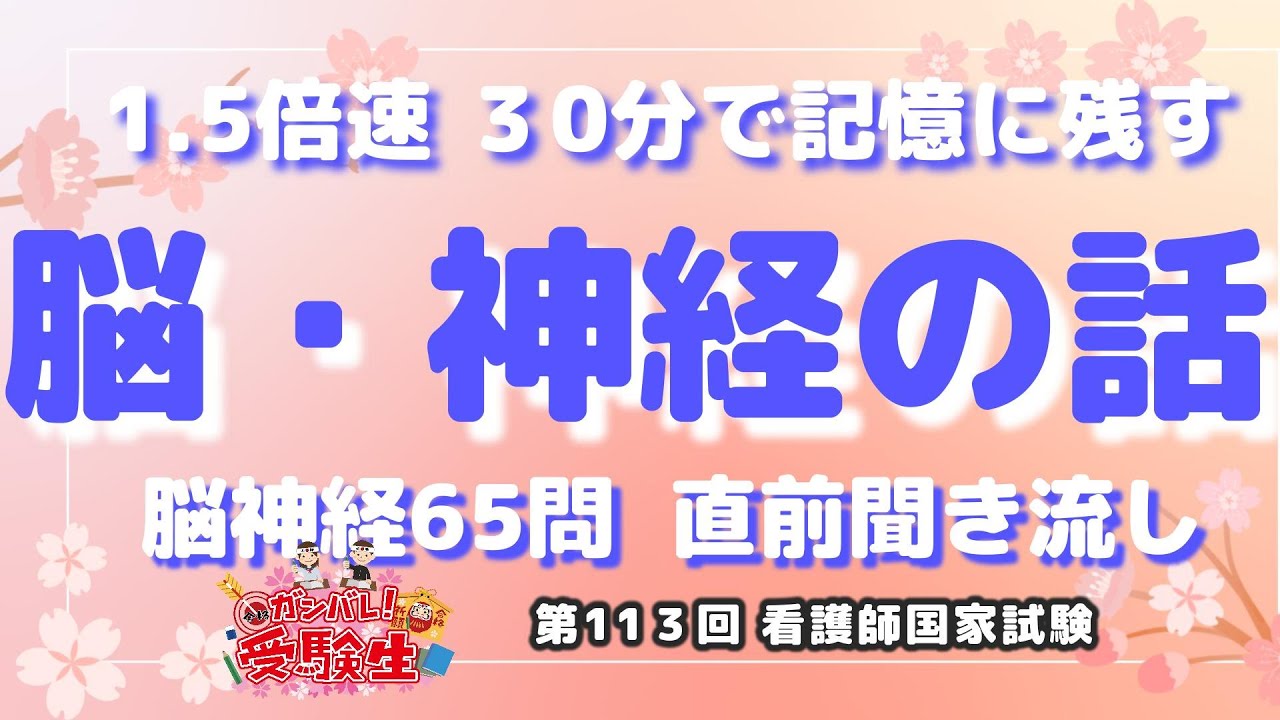 聞き流し対応 脳神経のお話 30分で記憶に残す！ 第113回看護師国家試験