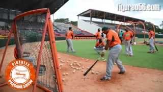 Yeuris Marzan batting soft toss @ Julian Javier SFM screenshot 2