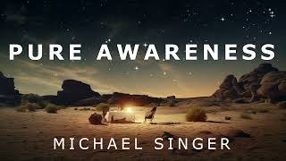 Michael Singer  Pure Awareness