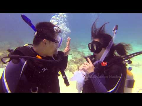 Underwater Proposal - Snapper Ledge in Key Largo, FL  @jasonnocks