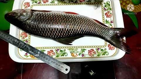 hsc 2021 assignment biology 6th week(part--01)