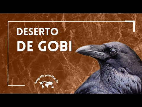 Vídeo: Onde Fica O Deserto De Gobi