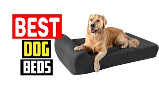 ✅Top 5 Best Dog Beds in 2024 by The Pets Products 40 views 1 month ago 5 minutes, 21 seconds