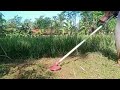 mesin potong rumput di sela pohan sayuran