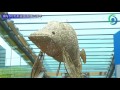 栃木県なかがわ水遊園 開園15周年 の動画、YouTube動画。