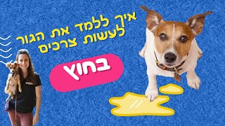 השיטה לגמילת גורים מצרכים, איך לגמול גור מצרכים, חינוך לצרכים, אילוף גורים לצרכים.