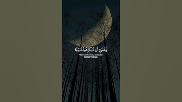 و عسى أن تكرهوا شيئا و هو خير لكم #القرآن_الكريم #quran #راحة_نفسية #ماهر_المعيقلي #تلاوات #آيات