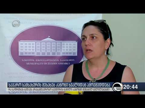 არასამთავრობოები საჯარო სამსახურის კანონის შესახებ