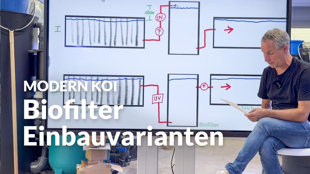 Auf welche Höhe baue ich den Biofilter am besten ein? | Modern Koi Blog #