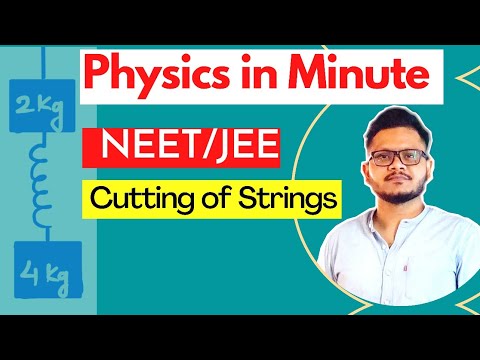 Physics in Minute