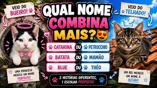 ESCOLHENDO O NOME DOS GATINHOS 😻