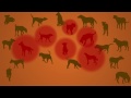 Herd Immunity animation