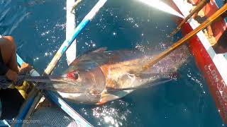 Big Catch! Traditional Black Marlin Fishing in Philippines | Fishing never Seen Before