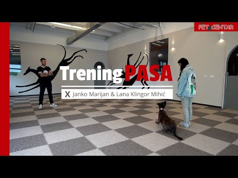 Video: Mogu Li Metode Treniranja Pasa Utjecati Na To Kako Se Pas Veže Za Svog Vlasnika? Studija Kaže Da