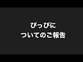 ぴっぴが亡くなりました【セキセイインコ】