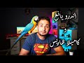 كلام اندرو يانغ وكاميلا هاريس بخصوص خططهم لشيكات تحفيز الاقتصاد