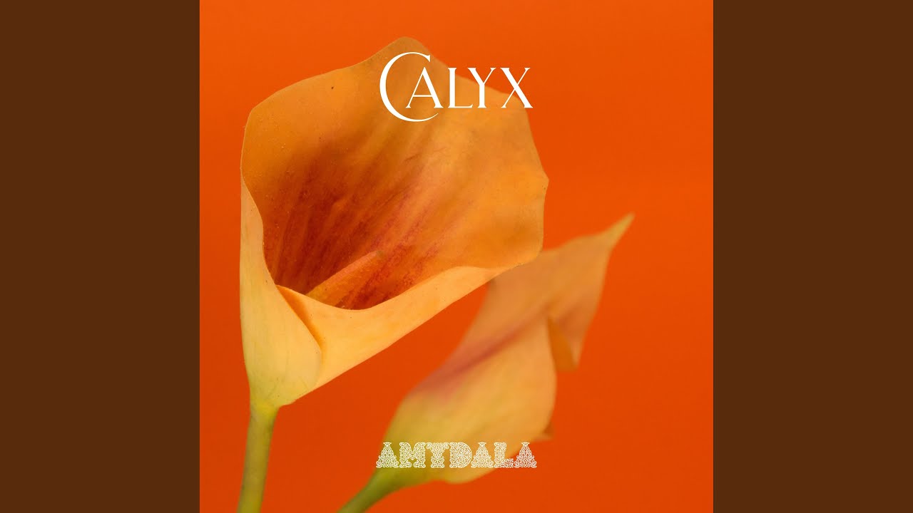 Guarda Calyx su YouTube Guarda Calyx su YouTube