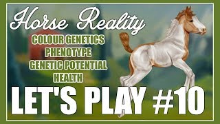 Colour Genetics & More - Horse Reality (Let's Play #10)