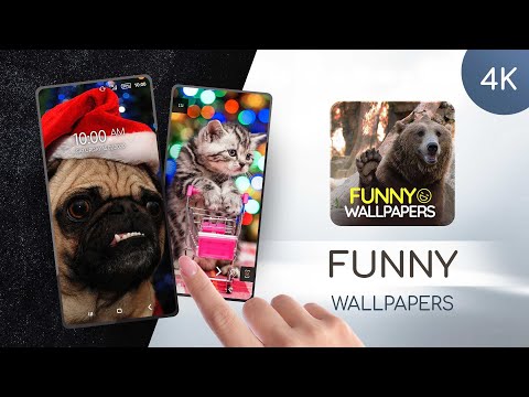 Funny Wallpapers Apps On Google Play Images, Photos, Reviews