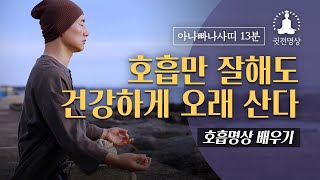 [아나빠나사띠🧘🏻‍♂️15분명상] 호흡만 잘해도 건강하게 오래 산다 / 10분 호흡명상으로 건강을 회복하세요