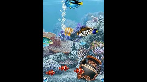 AquaPhone: Coral Fiesta_2 by Dynamic Pixels