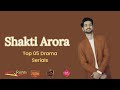 Shakti arora top 05 best drama serials