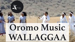 Temam Tekalign - Shaggee Wallaggaa - New Ethiopian Oromo Music 2021(Official Video)