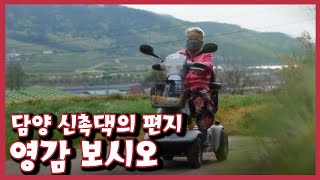 [남도지오그래피] 영감 보시오, 담양 신촉댁의 편지｜KBS 220420 방송