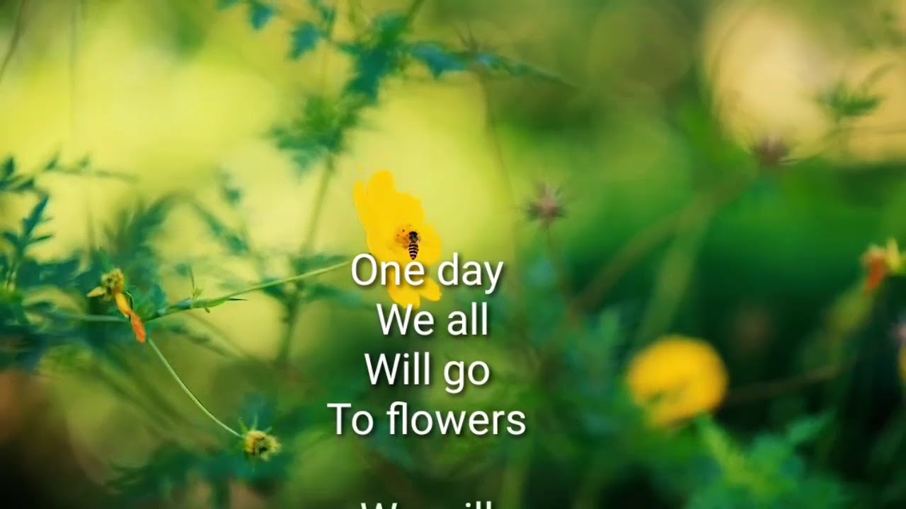 Sentimental words with music || Love and sadness together