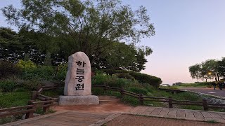 하늘공원 메타세콰이어 길