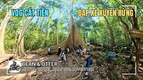 Đạp xe xuyên rừng Cát Tiên