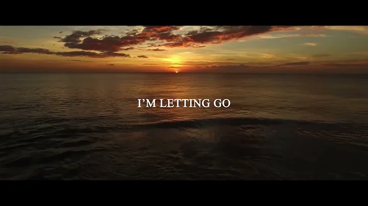 Letting Go (lyric video) - feat. Tyler Ivory & Sha...