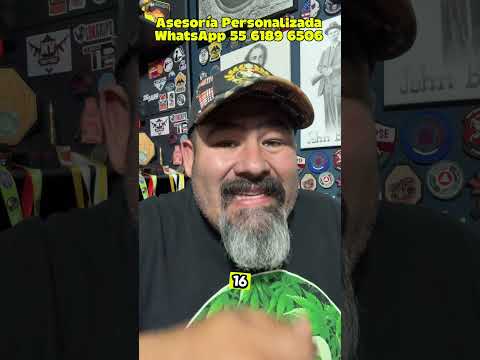 Escopeta Hatsan Escort