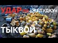 Перекорм коровы тыквой - случай в деревне